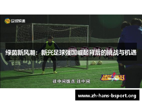 绿茵新风潮：新兴足球强国崛起背后的挑战与机遇