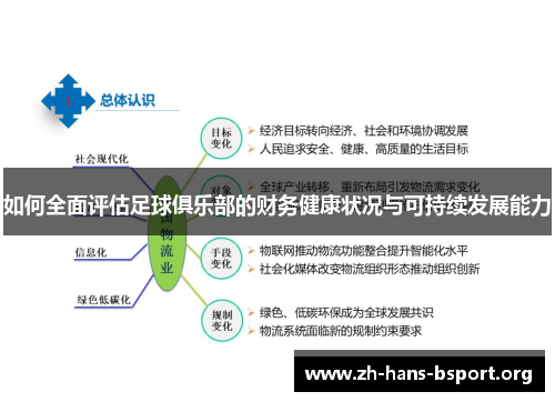 如何全面评估足球俱乐部的财务健康状况与可持续发展能力