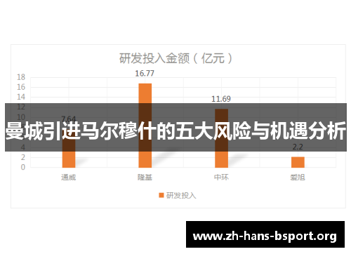 曼城引进马尔穆什的五大风险与机遇分析