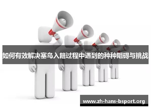 如何有效解决塞鸟入籍过程中遇到的种种阻碍与挑战