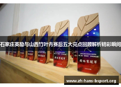 石家庄英励与山西竹叶青赛后五大亮点回顾解析精彩瞬间