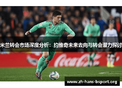 米兰转会市场深度分析：约维奇未来去向与转会潜力探讨