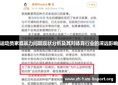 运动员家庭暴力问题现状分析及其对体育行业的深远影响